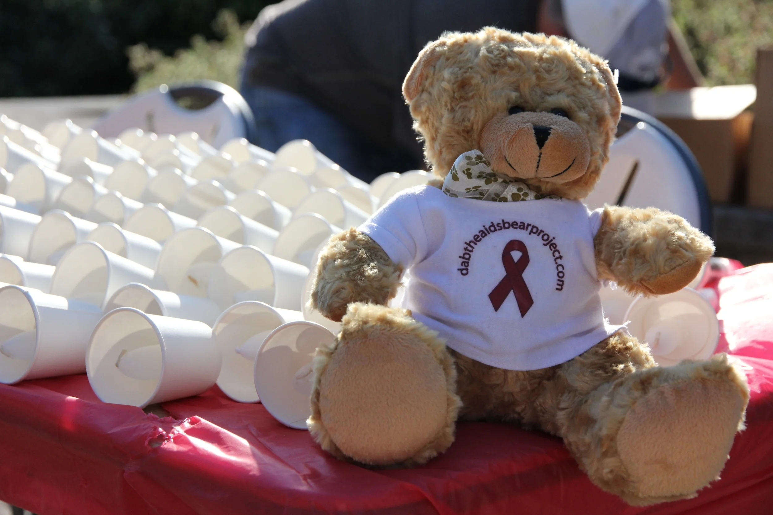 PTBOCanada Featured Post: PARN's Live.Out.Loud Fundraising Walk At Millennium Park 