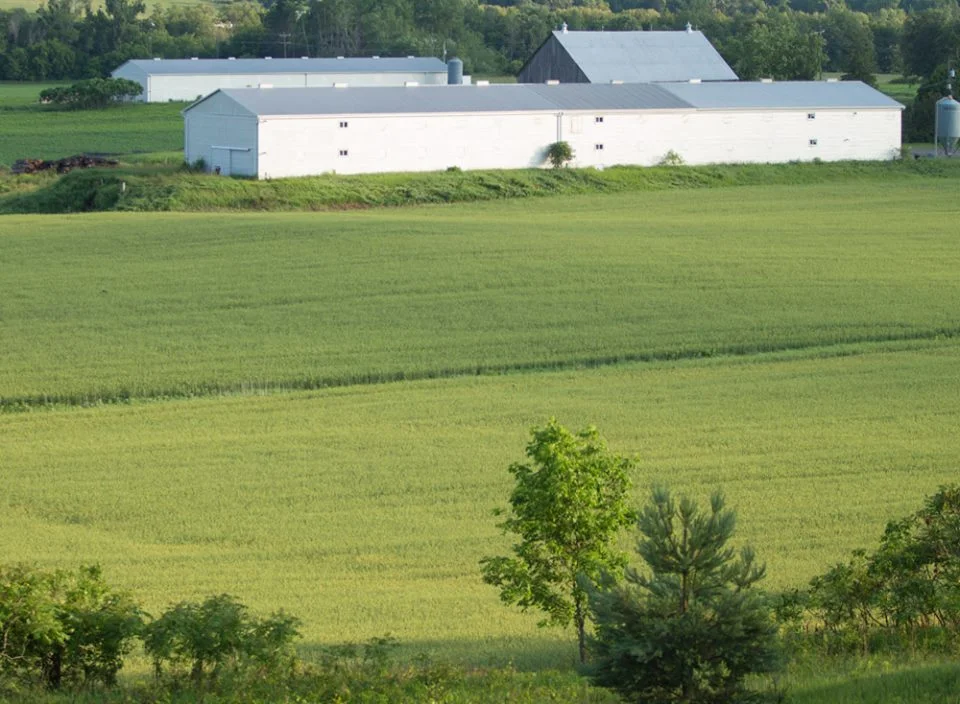 Next Millennium Farms Wins Startup Canada Award For Sustainable Development