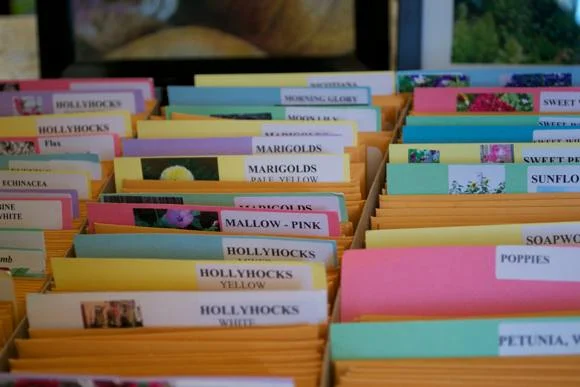 PTBOCanada File Photo (Julie Morris)