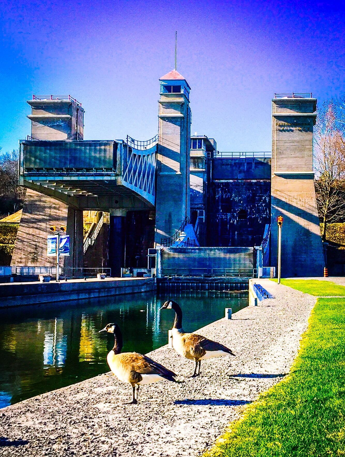 Photo by Scott Arnold, April 2016