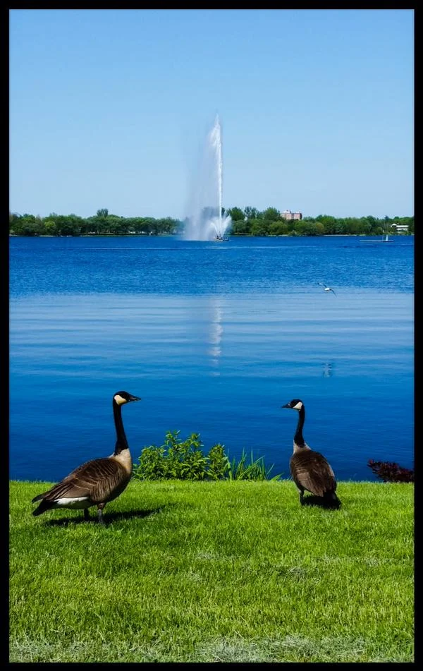 Photo by Tony Bianco, May 2015