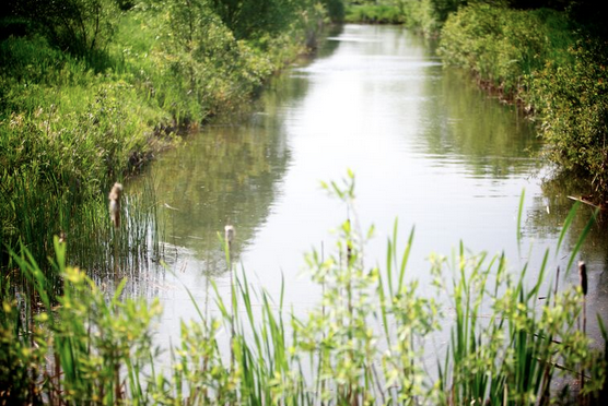 Otonabee Region Water Response Team Says Level 2 Low Water Conditions Being Experienced