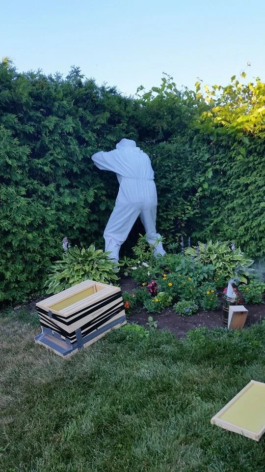 Peterborough Family Discovered Quite The Swarm Of Honey Bees In
