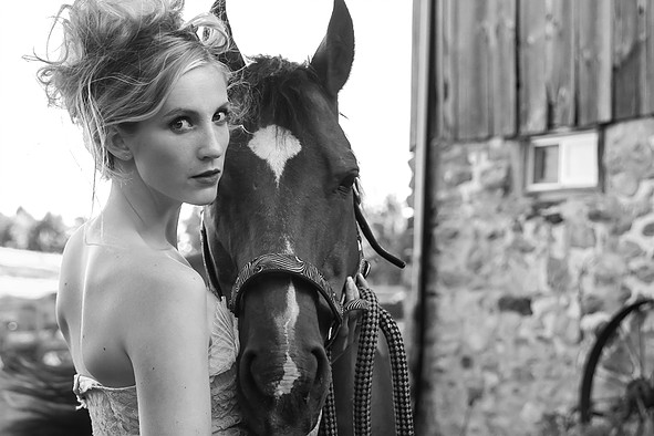 "Horse Discovery"