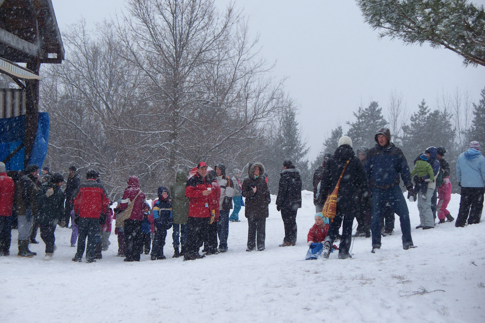 Snofest file photo courtesy City of Peterborough