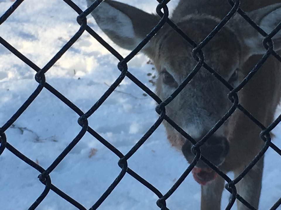 Photo by Randal Myers, Facebook