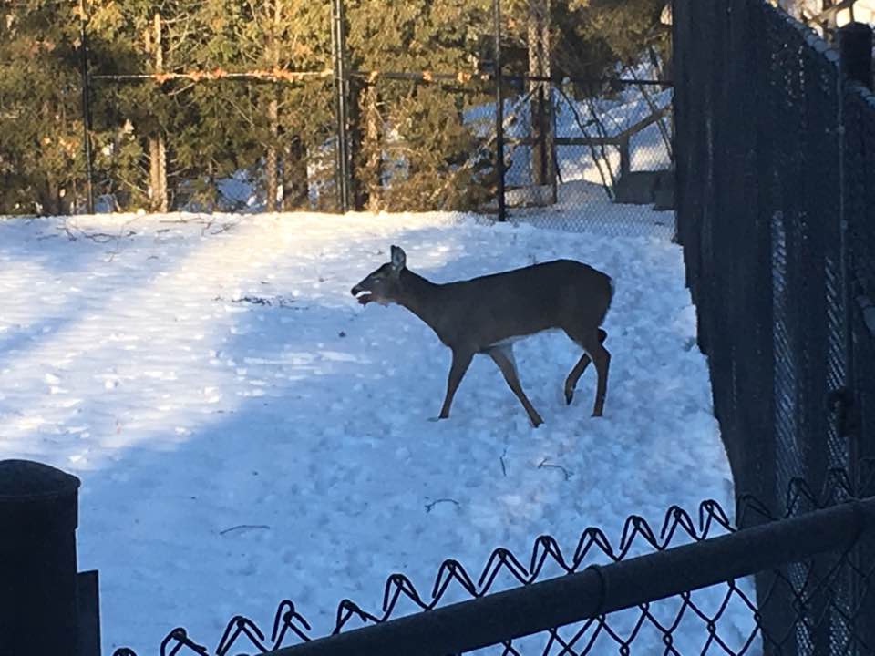 Photo by Randal Myers, Facebook