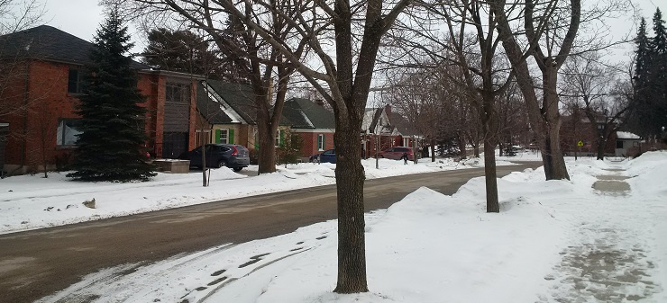 Albertus Avenue