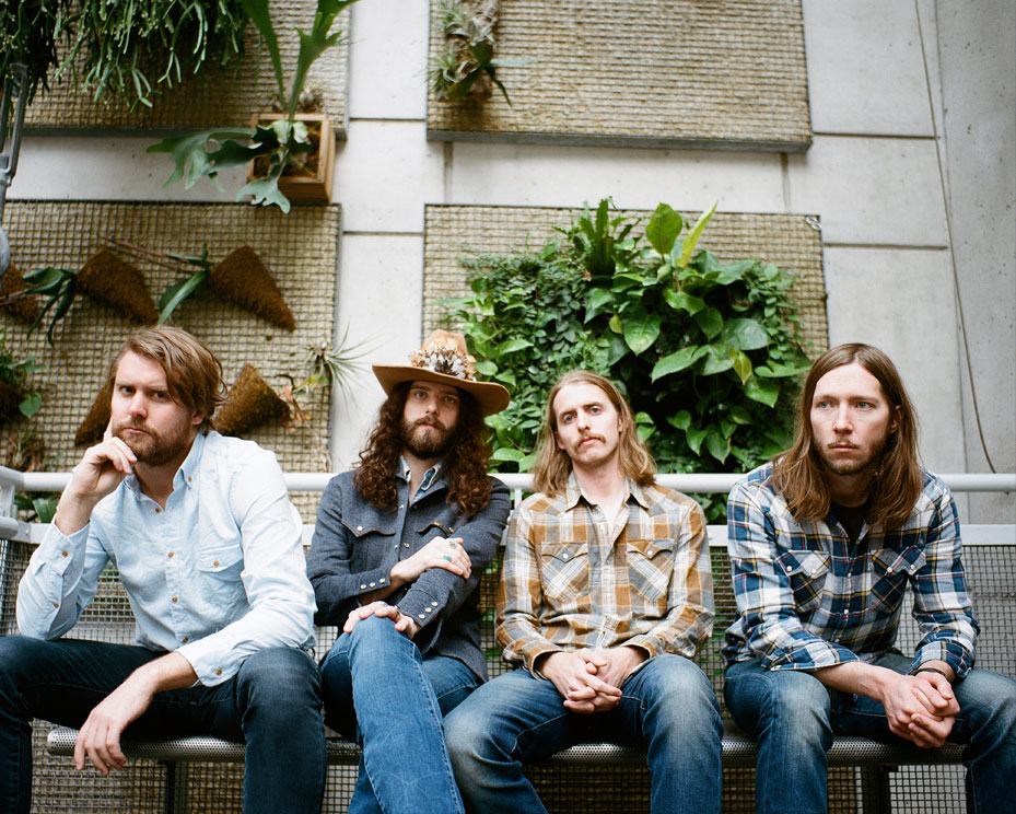 Sheepdogs