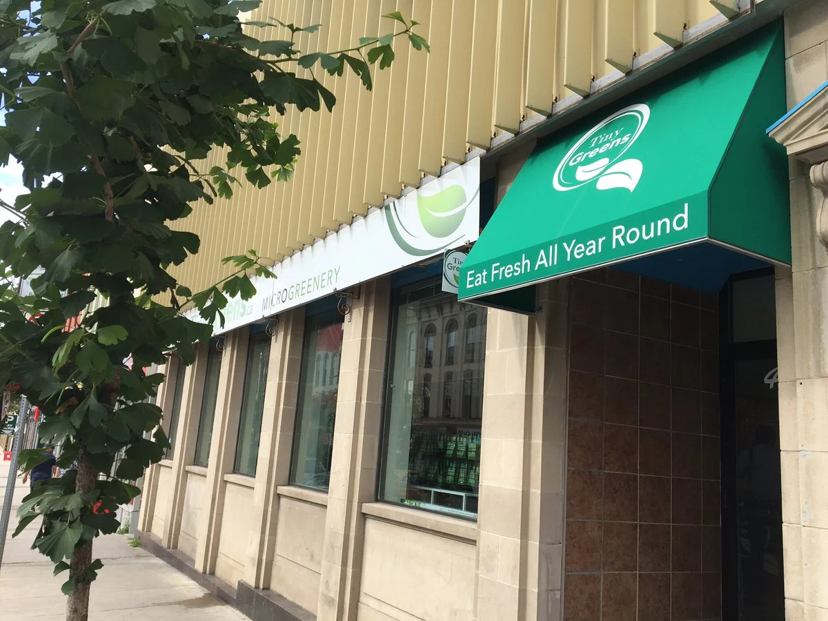 431 George St. North