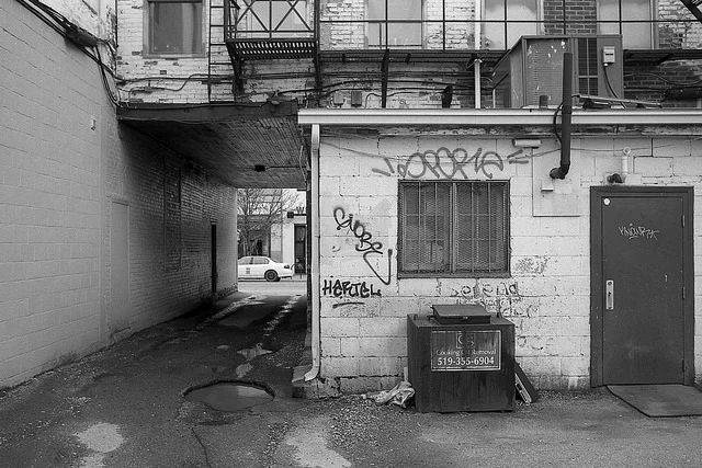 Photo by Kevin Collins