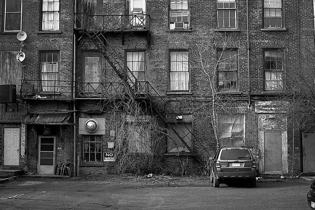 Photo by Kevin Collins