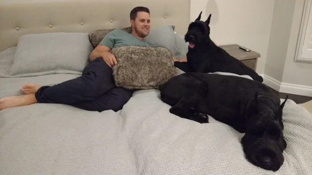 PTBOCanada Featured Post: Enter Leon's Peterborough Pet On A Bed Contest  #PetOnMyBedPtbo