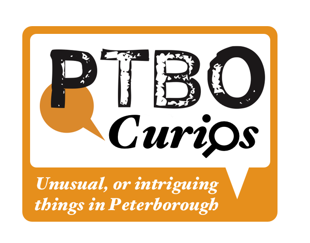 PtboCanada Curios Logo.png