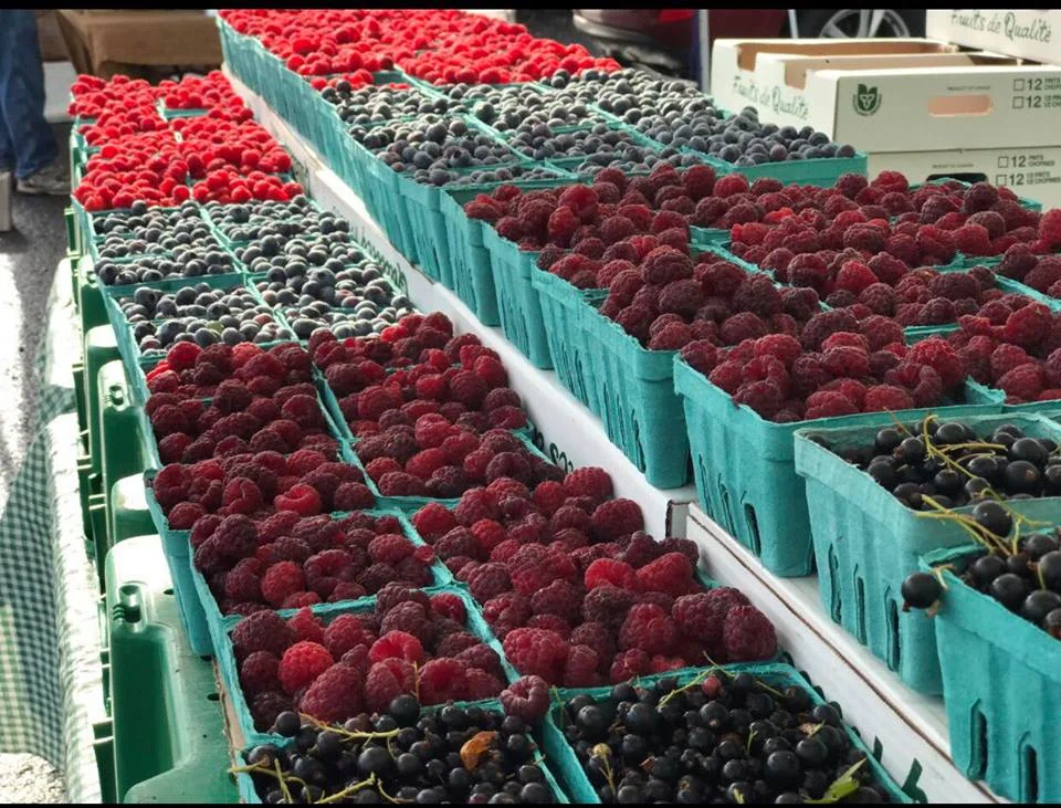 Photo courtesy McLean Berry Farm