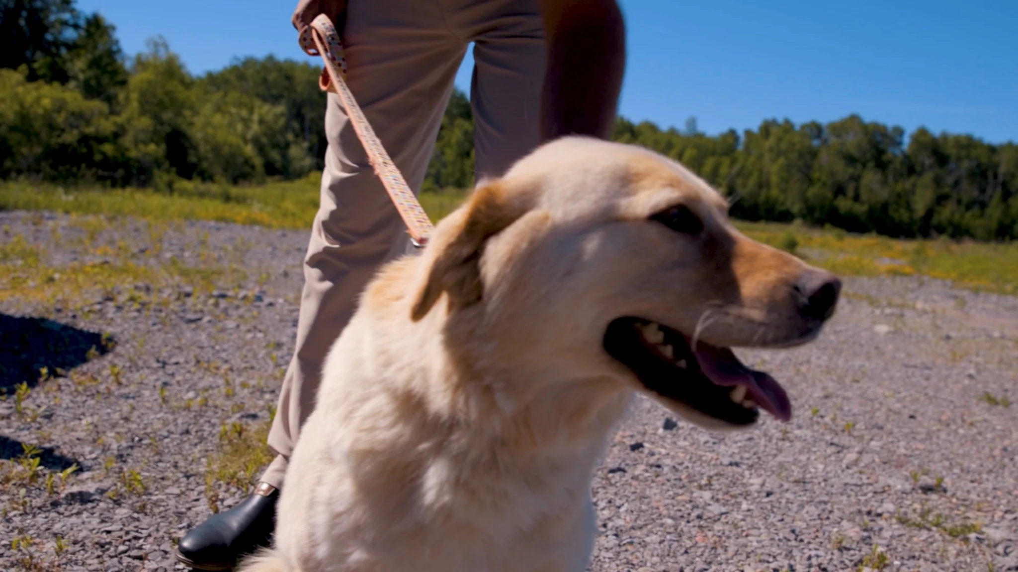 PTBOCanada Featured Video Post: Take A Tour Of The Site Where New Peterborough Humane Society Will Be 
