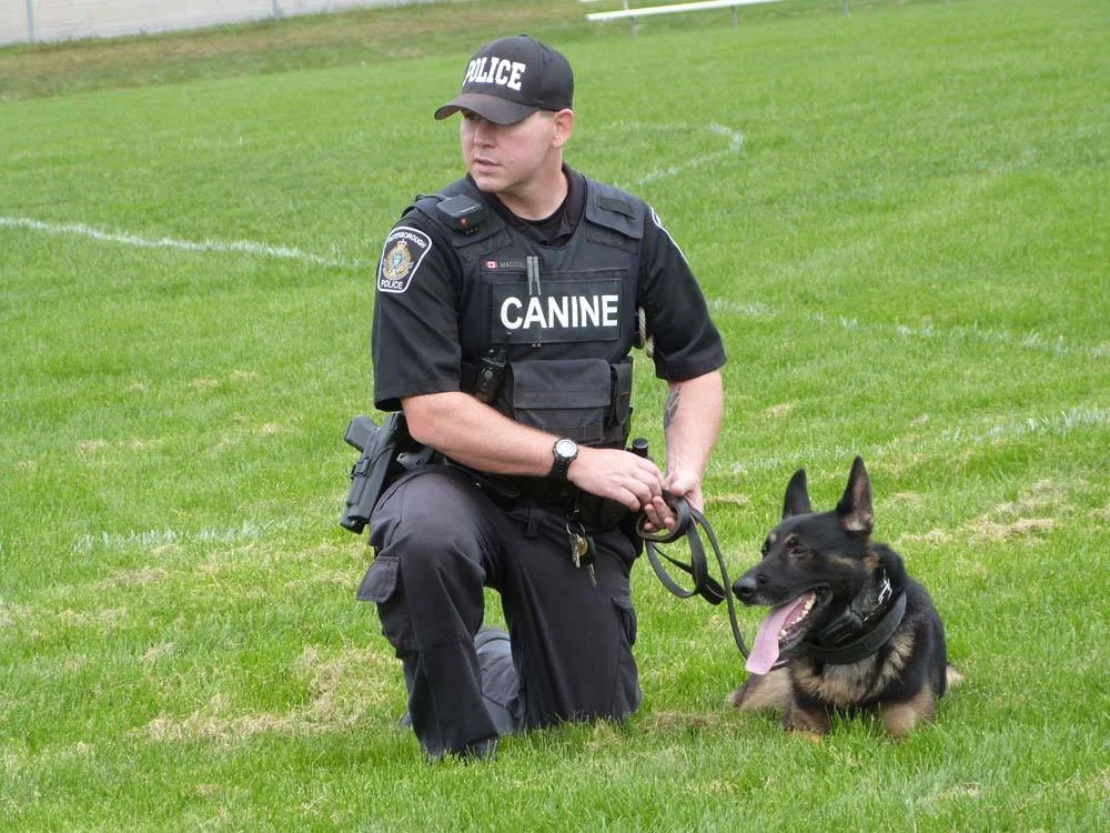 Police Service dog Hal pictured with his partner Constable Sam McCullum