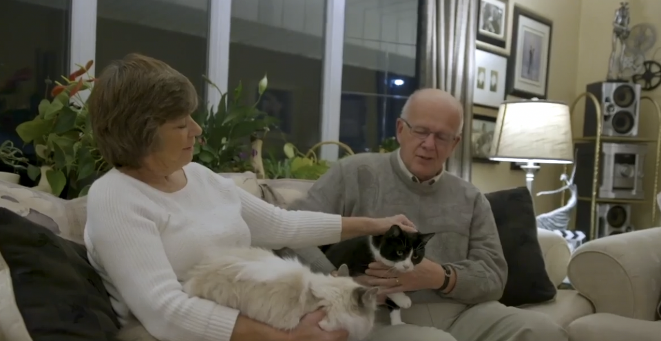 PTBOCanada Featured Video Post: Why Henry Clarke Loves The Peterborough Humane Society