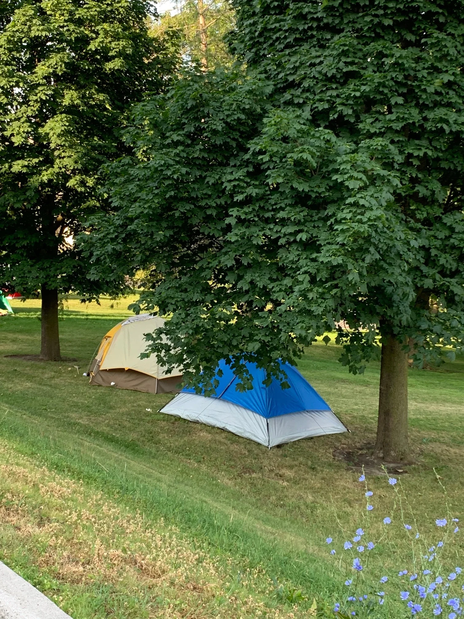 Photo of Tent City by Neil Morton, PTBOCanada