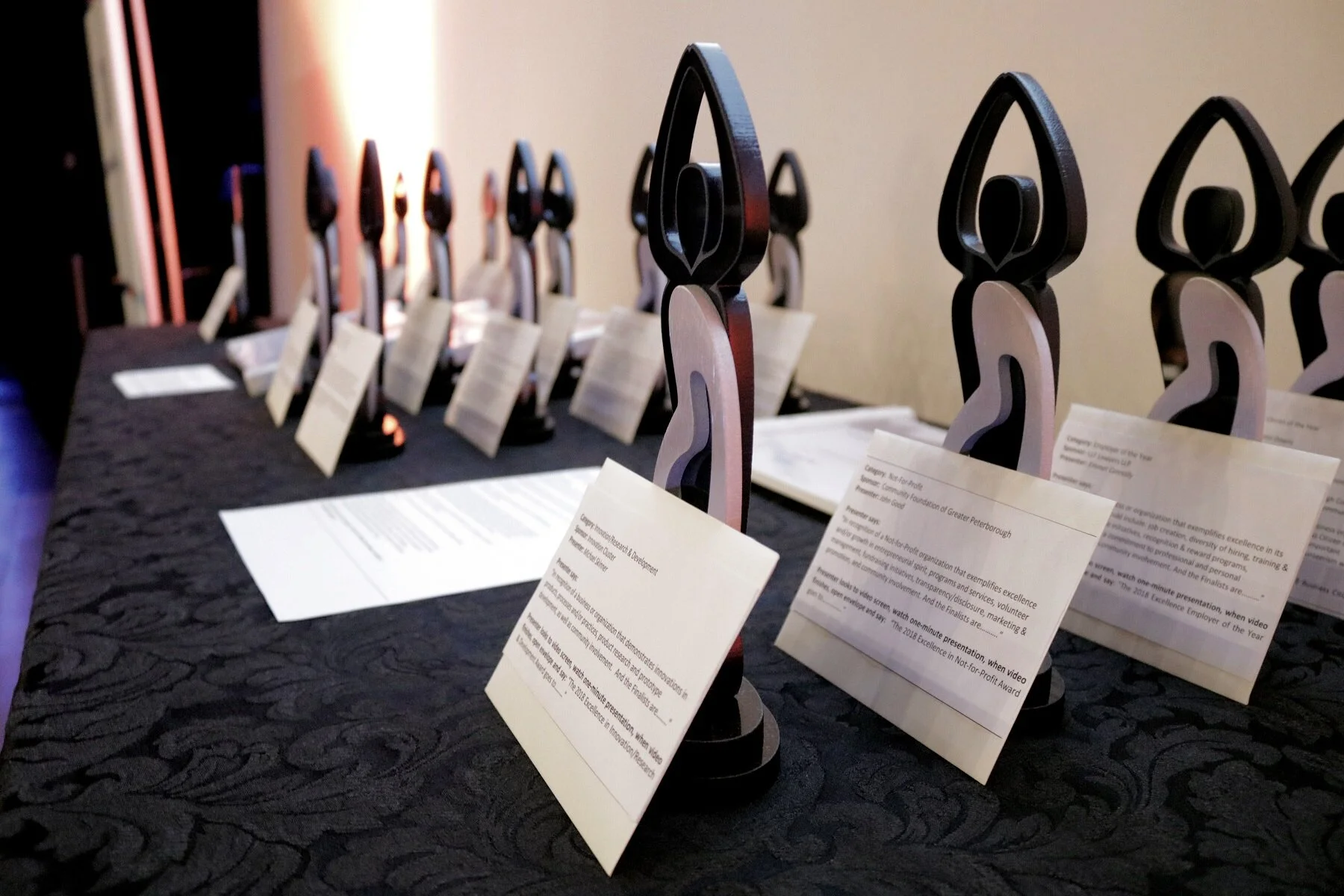 excellence trophies.jpg
