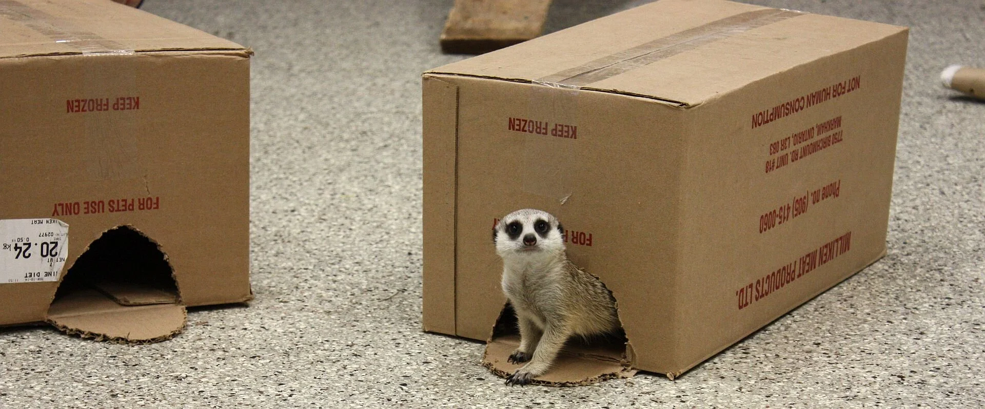 Photo via Riverview Zoo Facebook page
