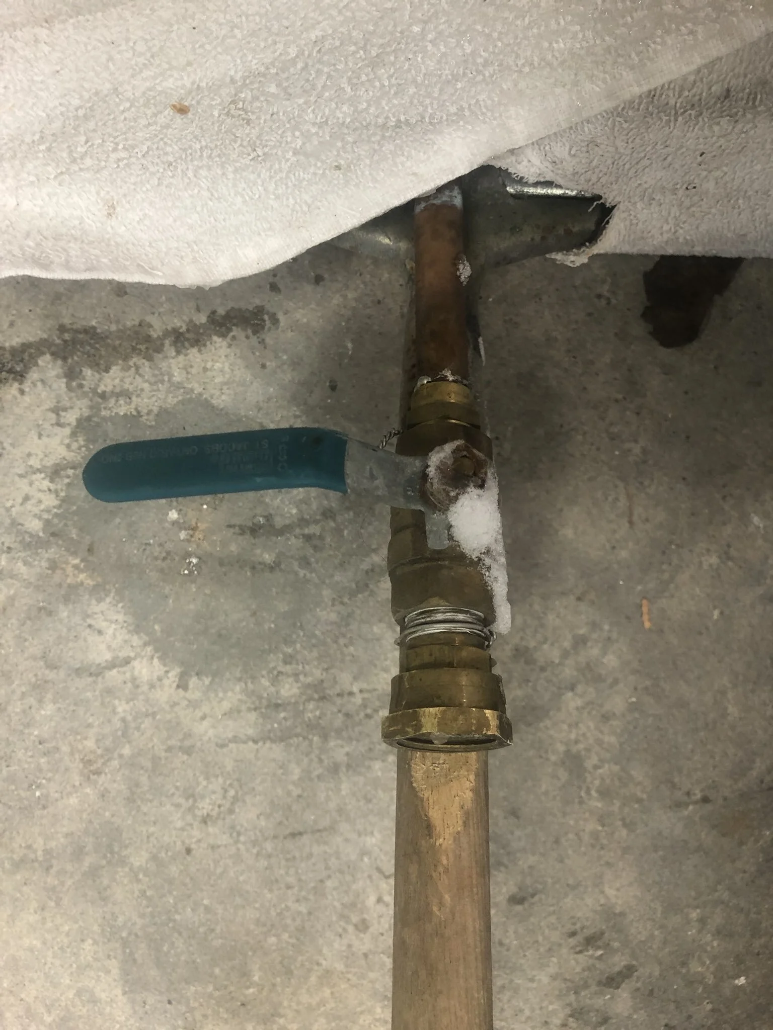 Photo of Sion’s Homeboni