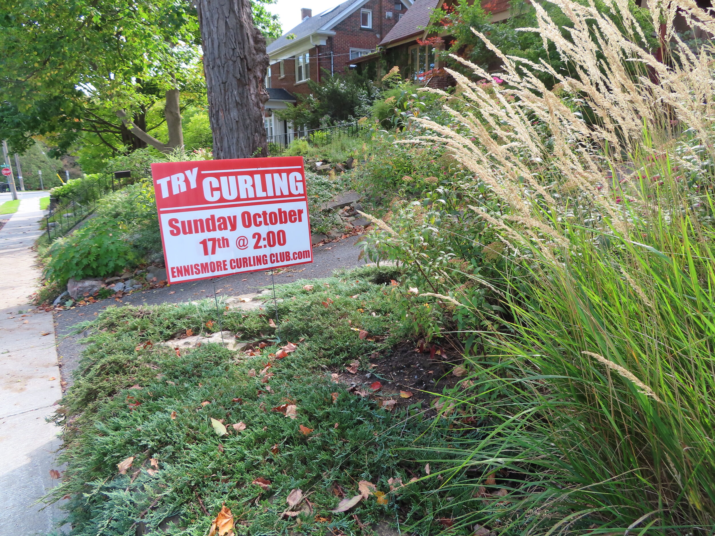 Photo courtesy of the Ennismore Curling Club.