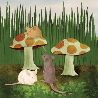 Heather Bradley image from book.png