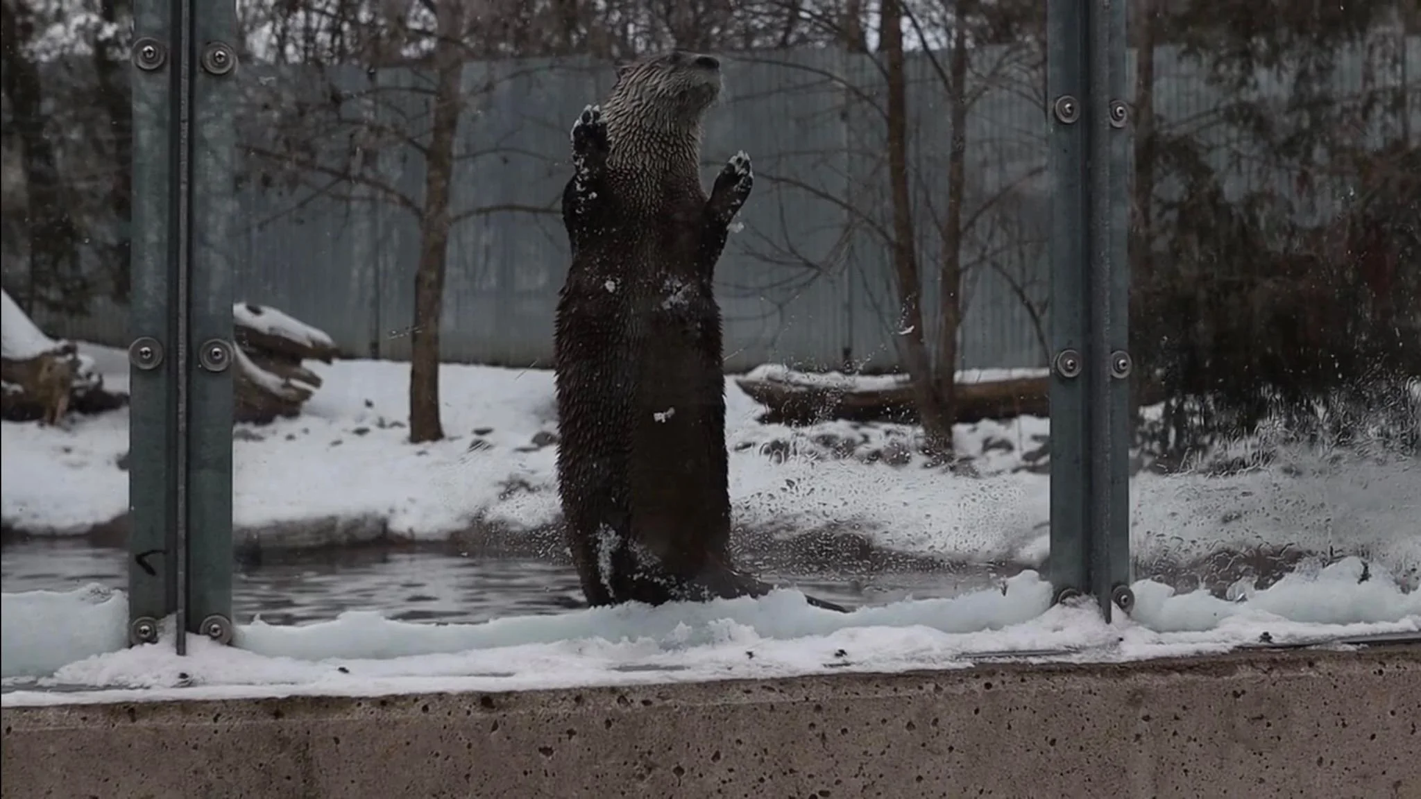PTBOCanada Featured Post: Explore PTBO With Patrick McAuley; Riverview Park &amp; Zoo