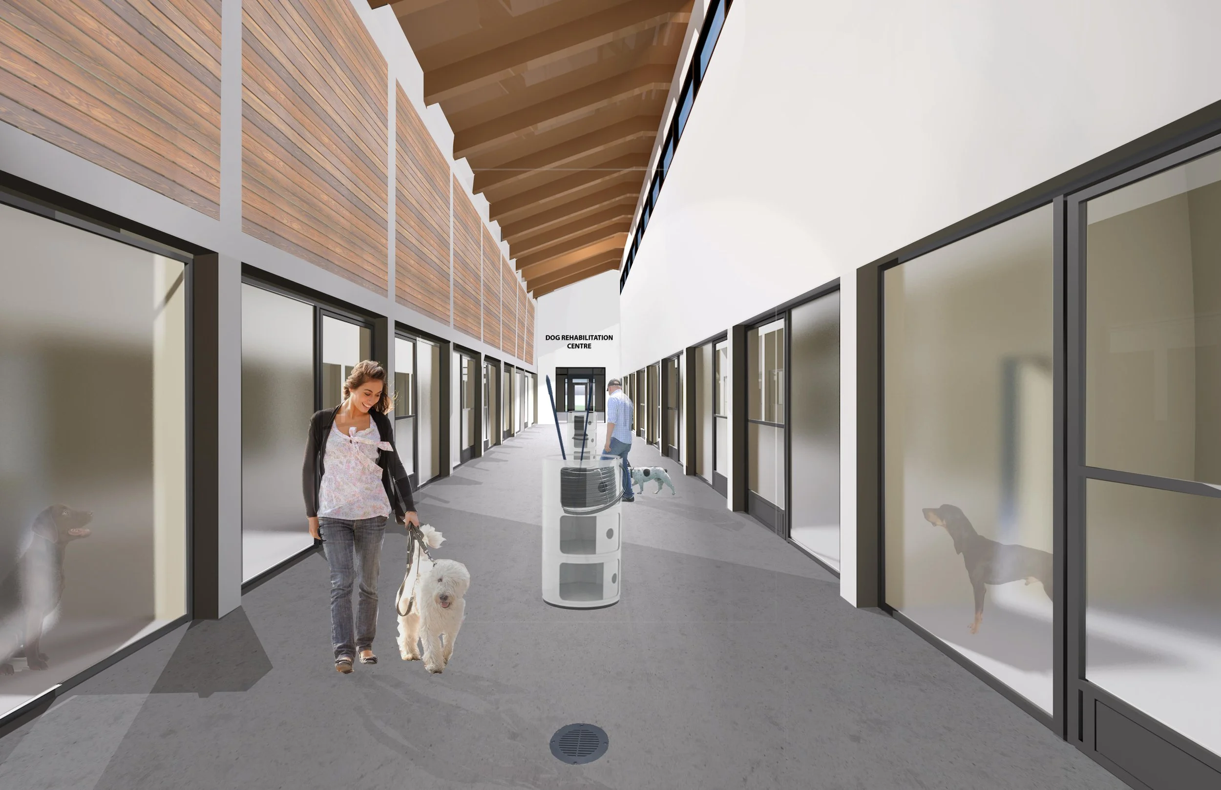 Dog Suites (1).jpg