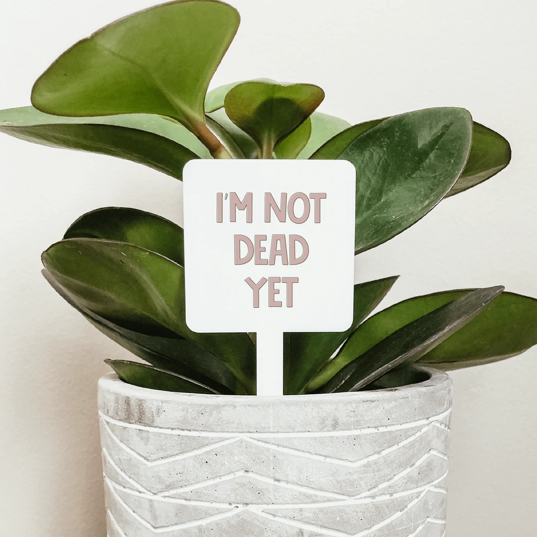 Plant goals pic 1.png