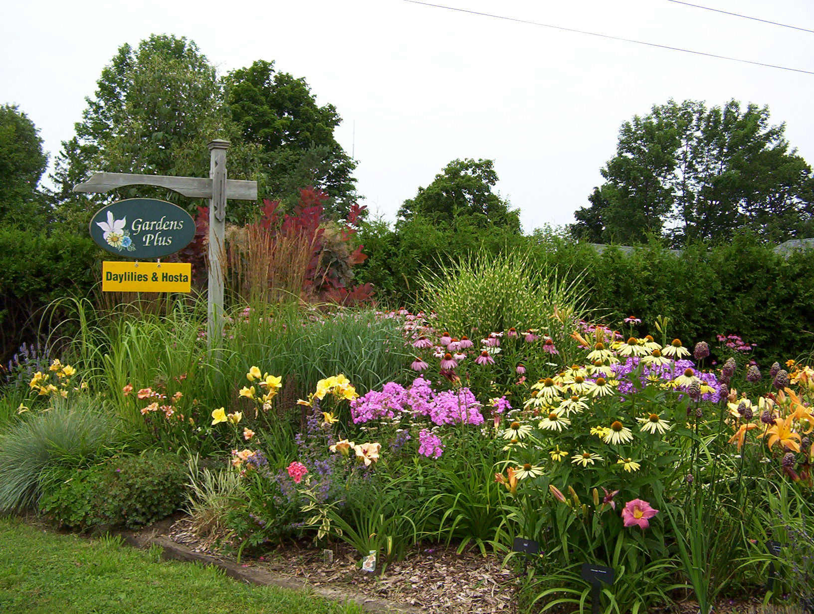 Gardens Plus photo.png