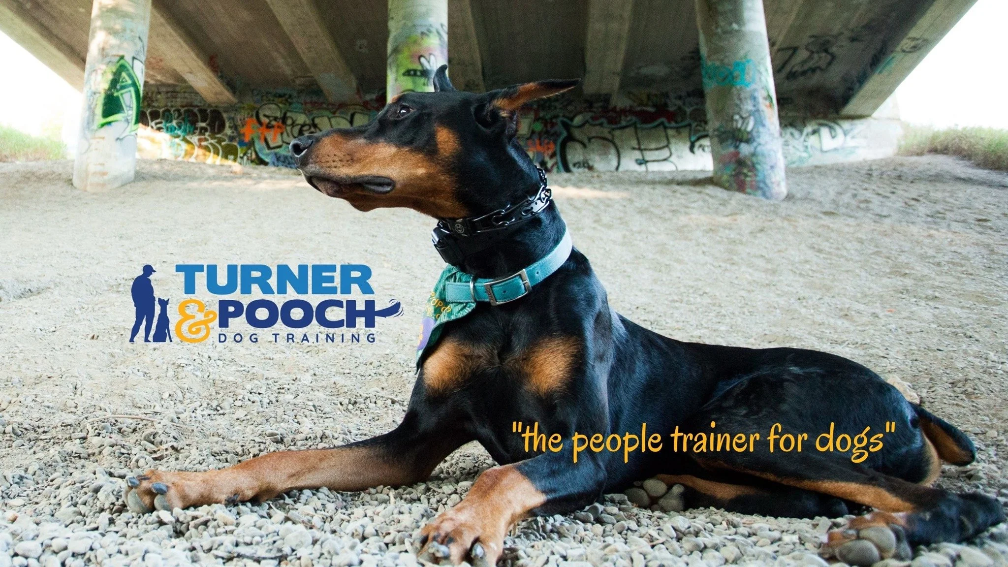 Turner and Pooch logo pic.jpg