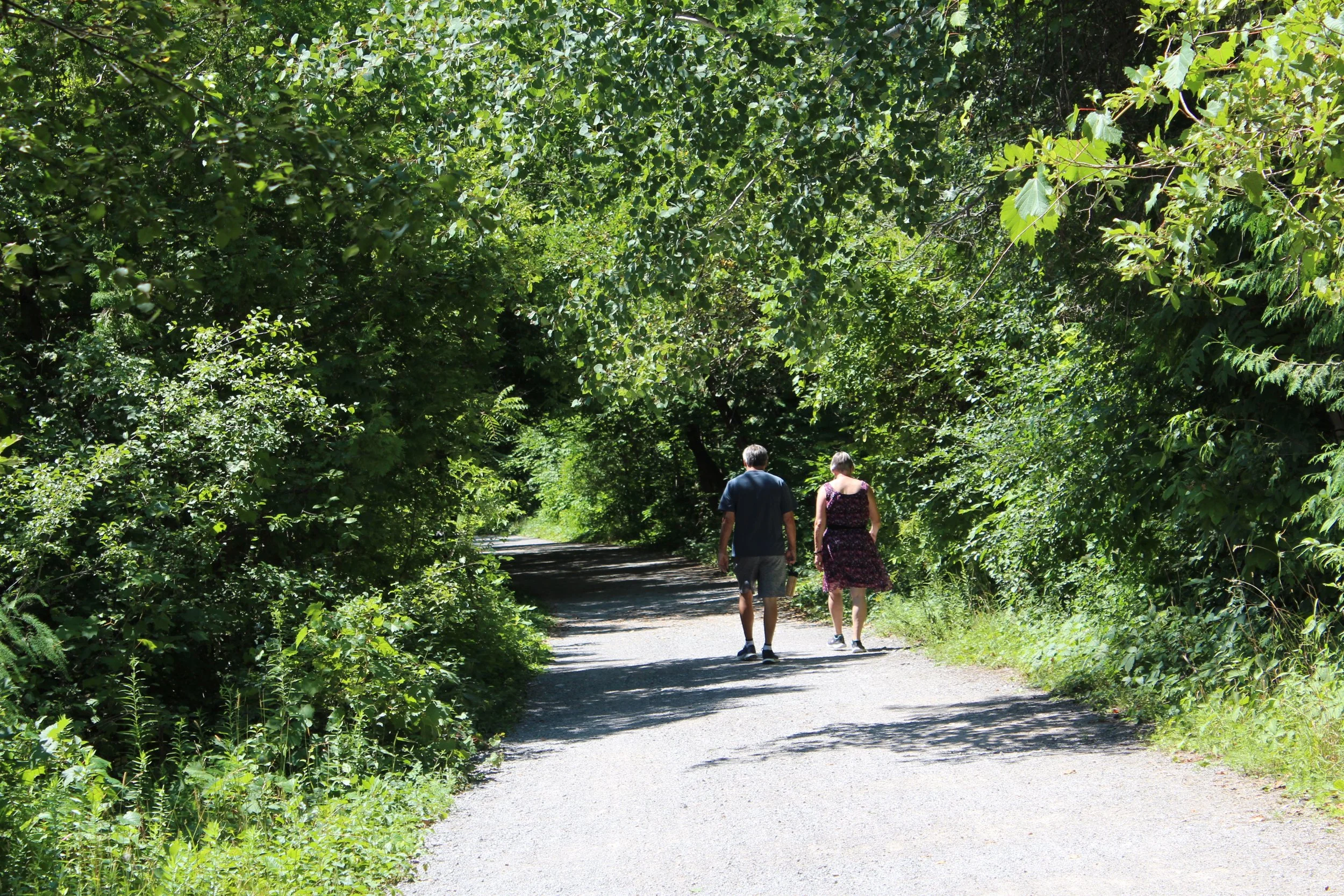 JacksonCreekTrail_WalkingHiking.JPG