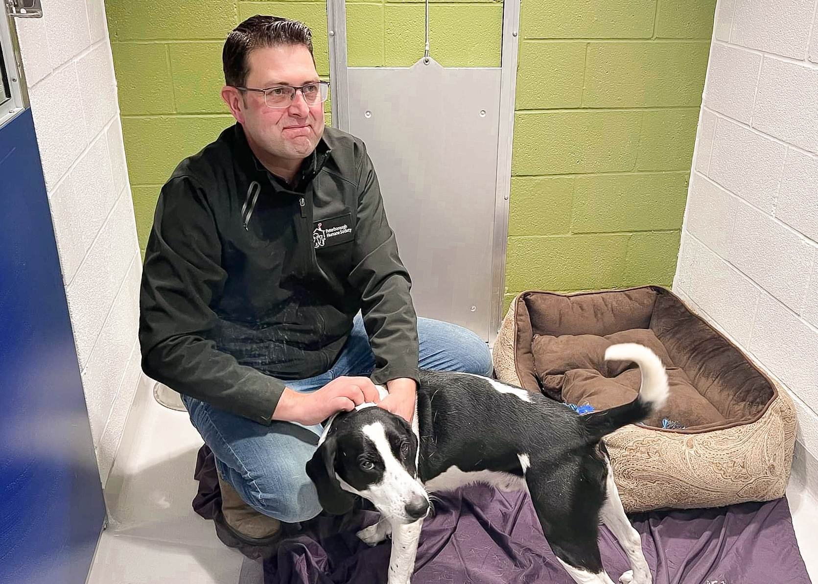 Shawn Morey, PHS executive director visits Dunkaroo, a hound in his brand new kennel at the PACC. Photo by David Tuan Bui.