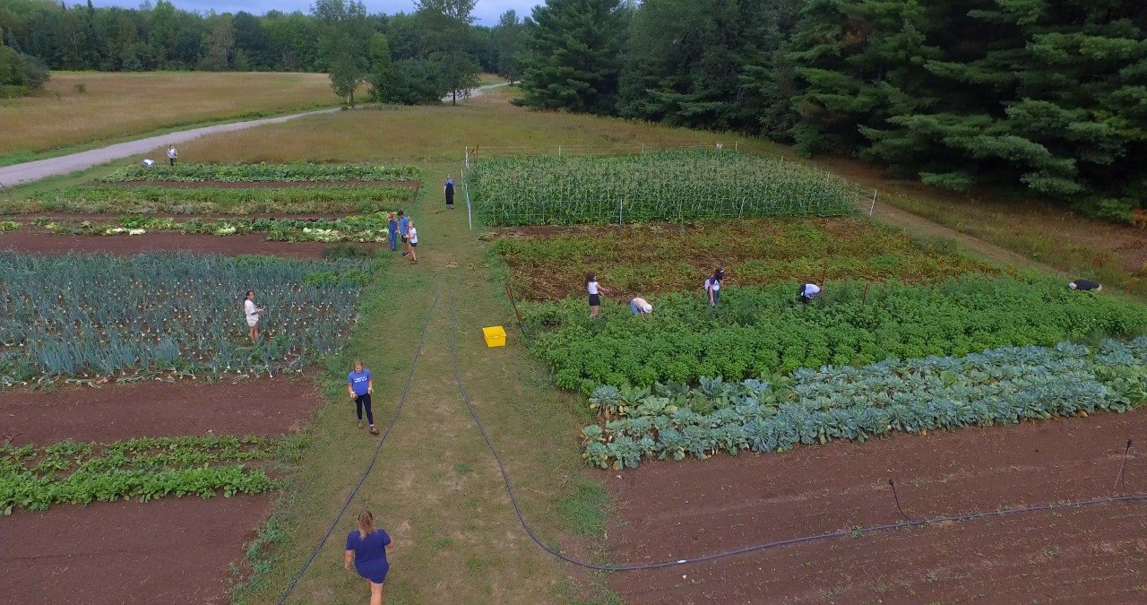 thumbnail_LCS_Students_atTheFarm_Northcote_Campus_Drone.00_00_04_08.Still001.jpg