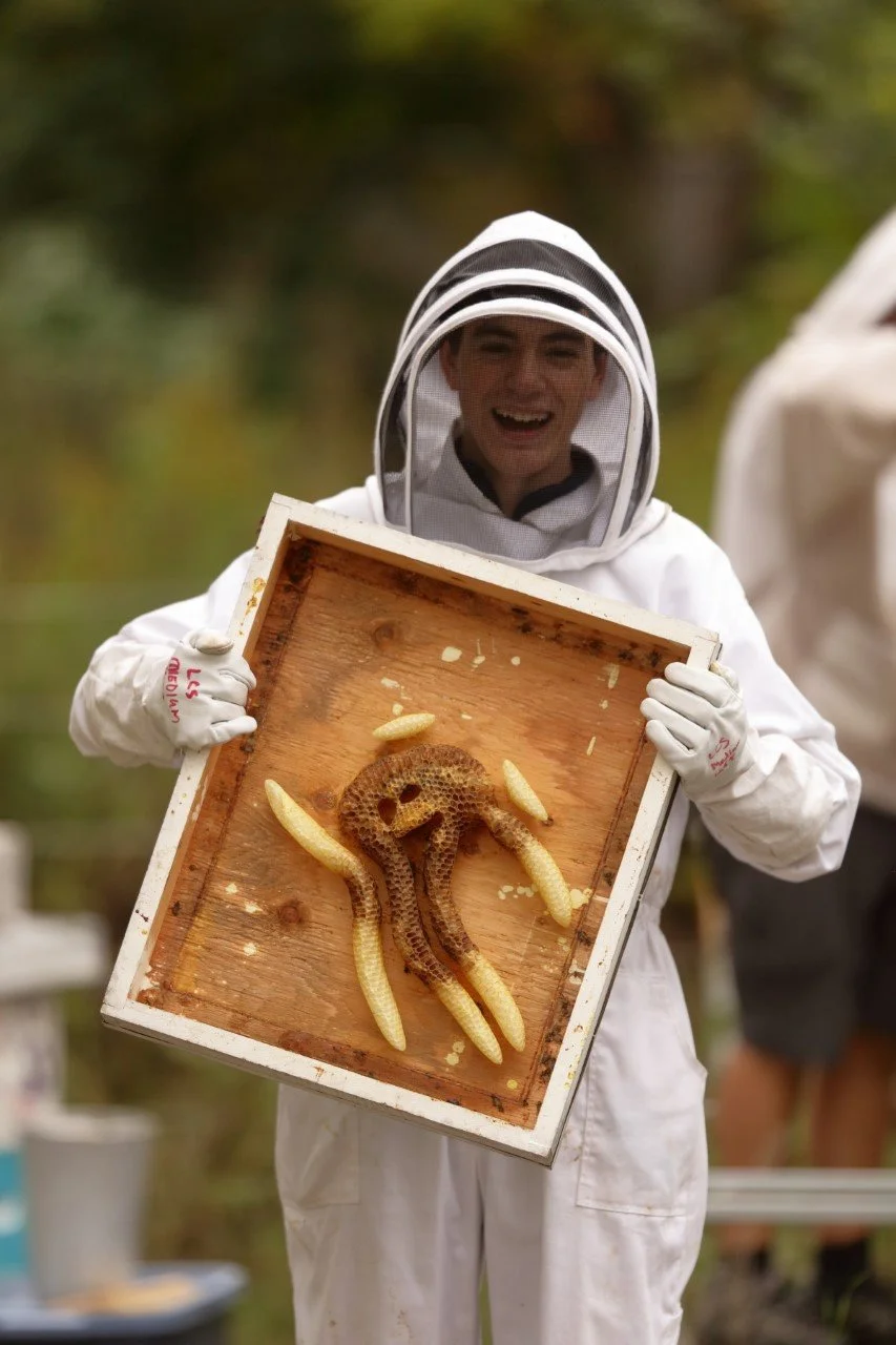thumbnail_LCSStudent_HoneyCombFrame_Apiary_bySpivey_SR307208.jpg