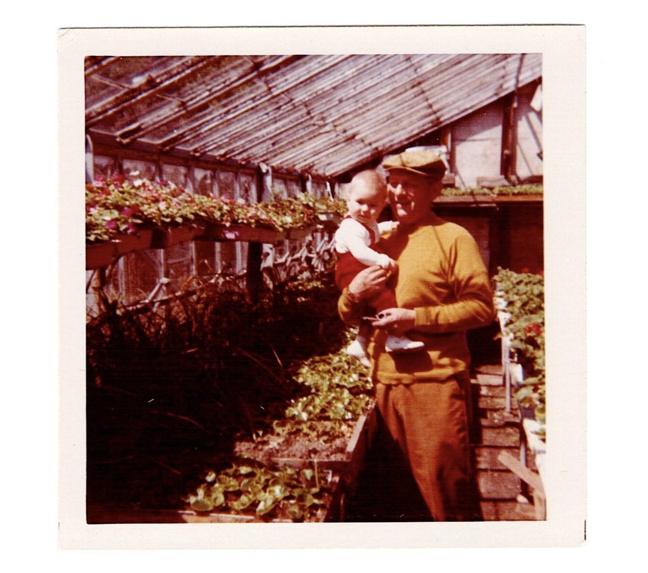  Opa at Parkhill Nurseries, 1971. 