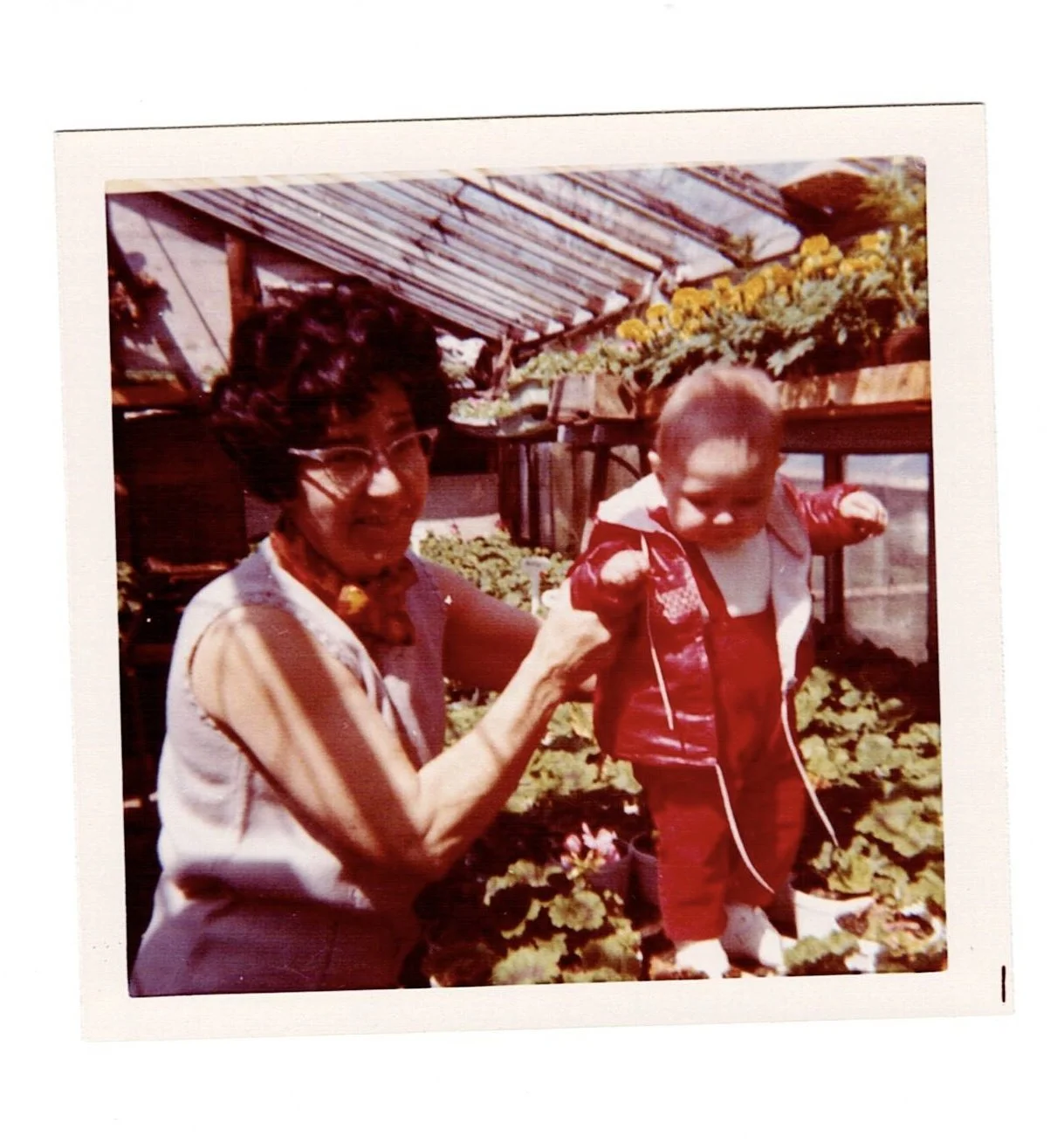  Oma (grandmother in Dutch) and Vikki, 1971. 