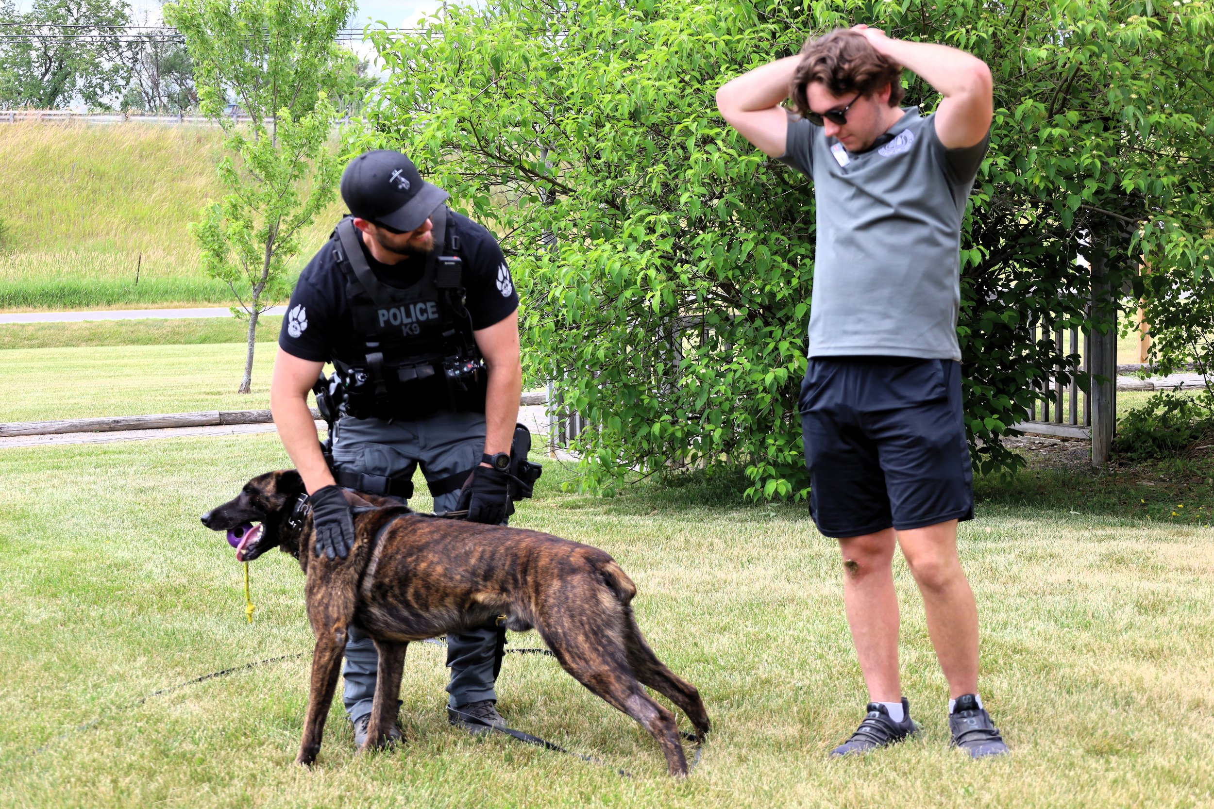 K9 Gryphon helps Constable Dillon Wentworth (left) catch Bryson Cumming, Fleming Police Foundations student (right) during a demonstration at the OFAH fishing event. All photos by David Tuan Bui.