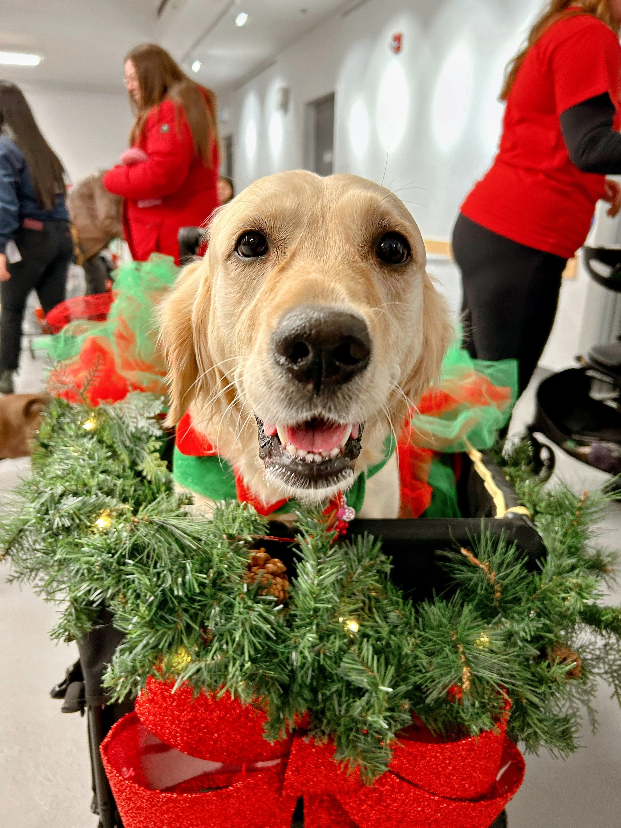  All photos courtesy of the Peterborough Humane Society. 