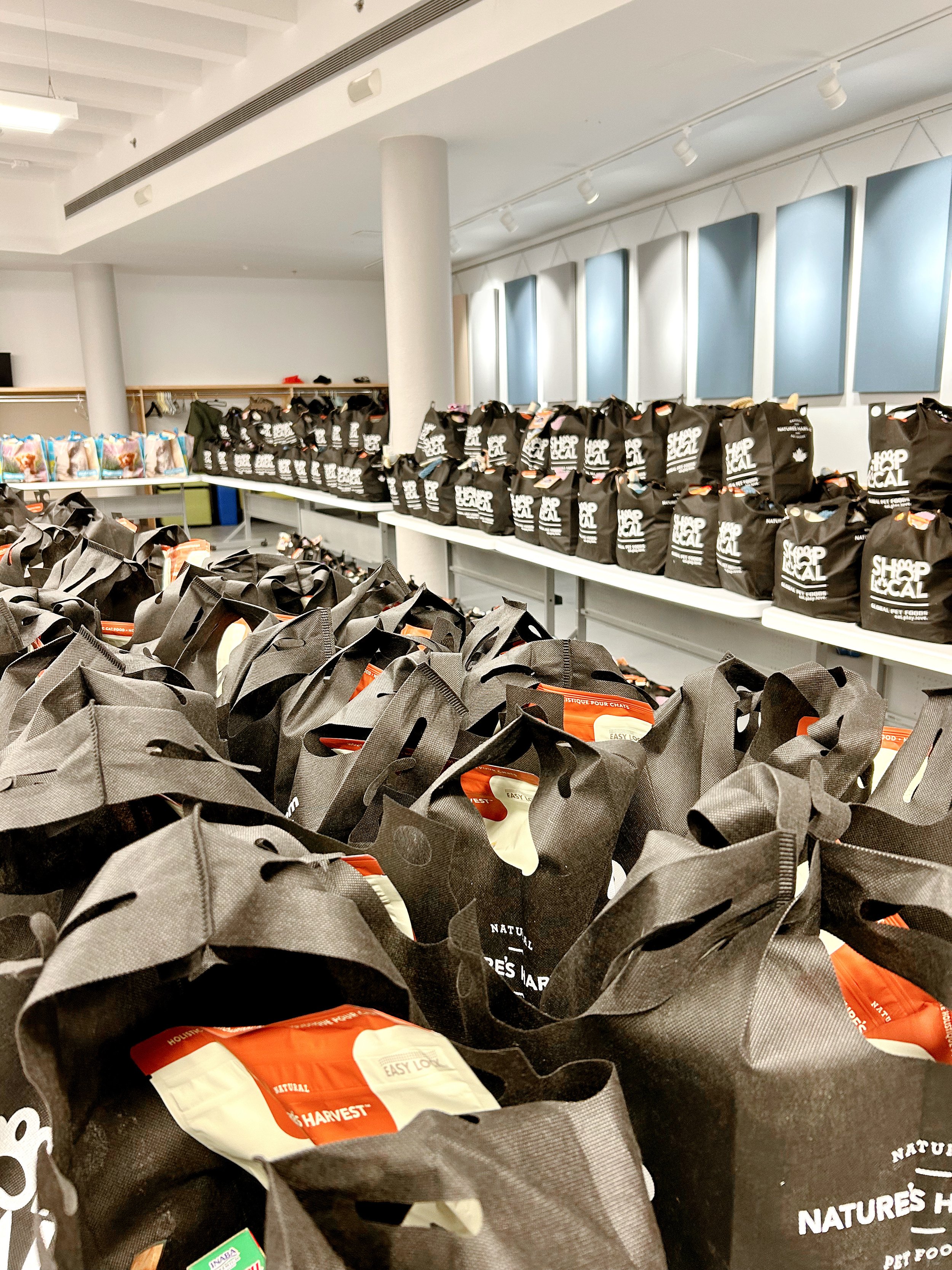  All photos courtesy of the Peterborough Humane Society. 