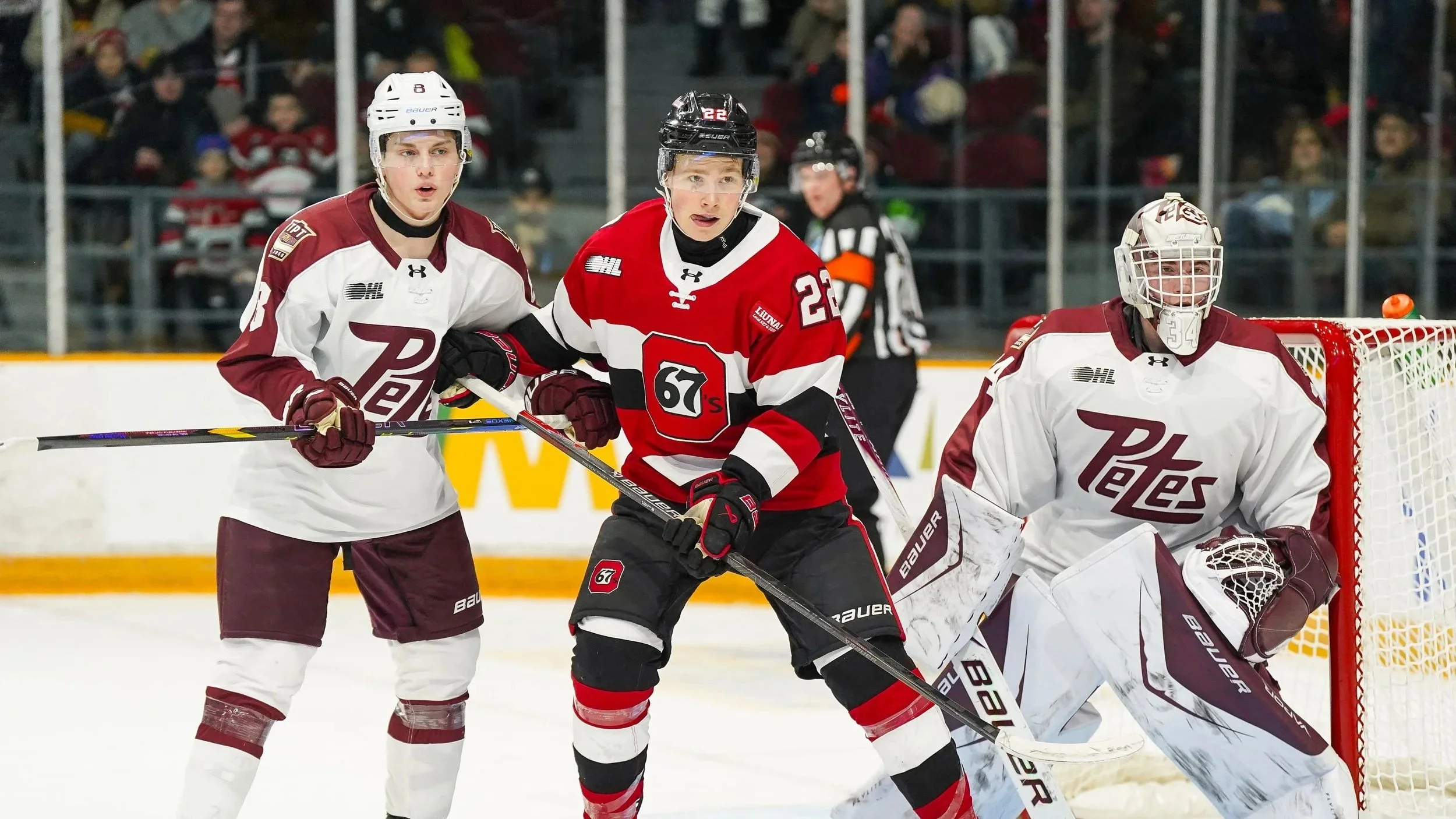 Peterborough Petes Fall To Ottawa 67’s 5-2 During Third Game In Three Days
