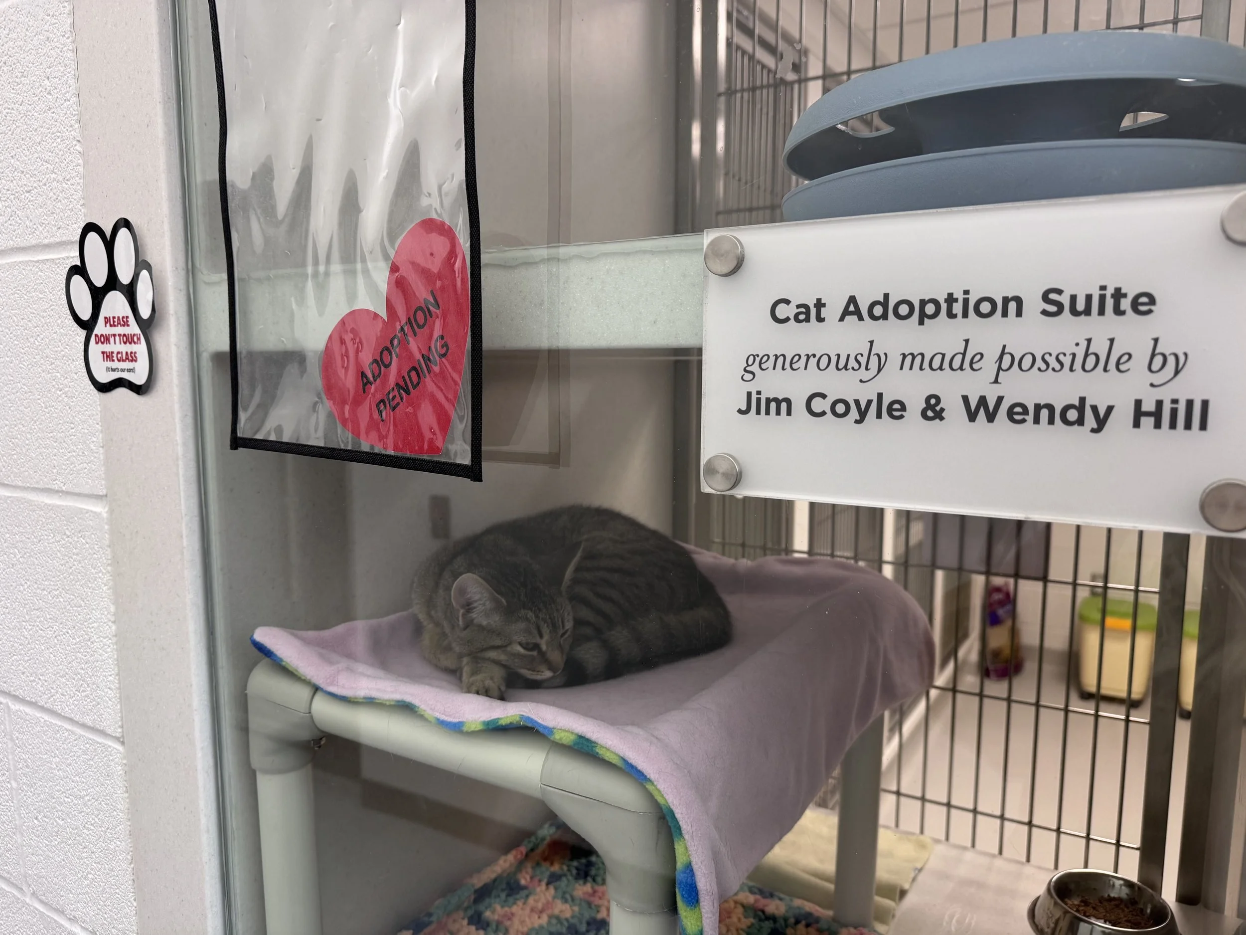  All photos by Felicia Massey. 