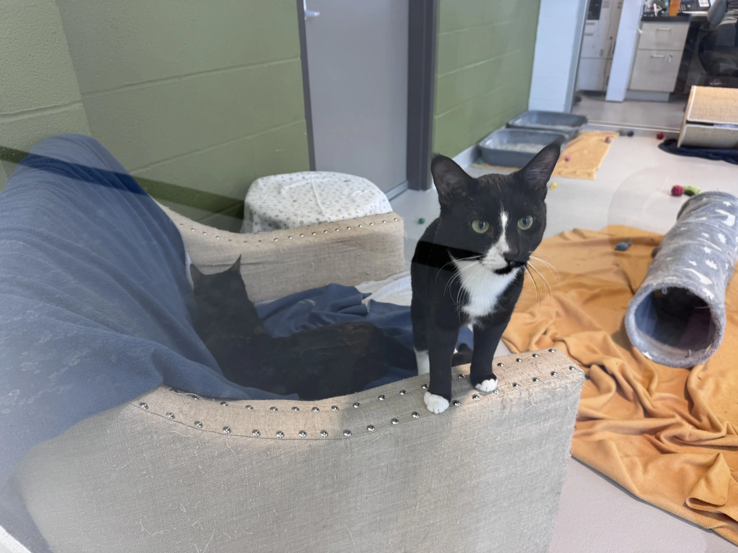  All photos by Felicia Massey. 