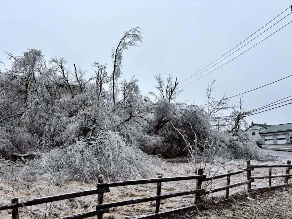 City of Peterborough Approved For Provincial and Municipal Funding After March 2025 Ice Storm