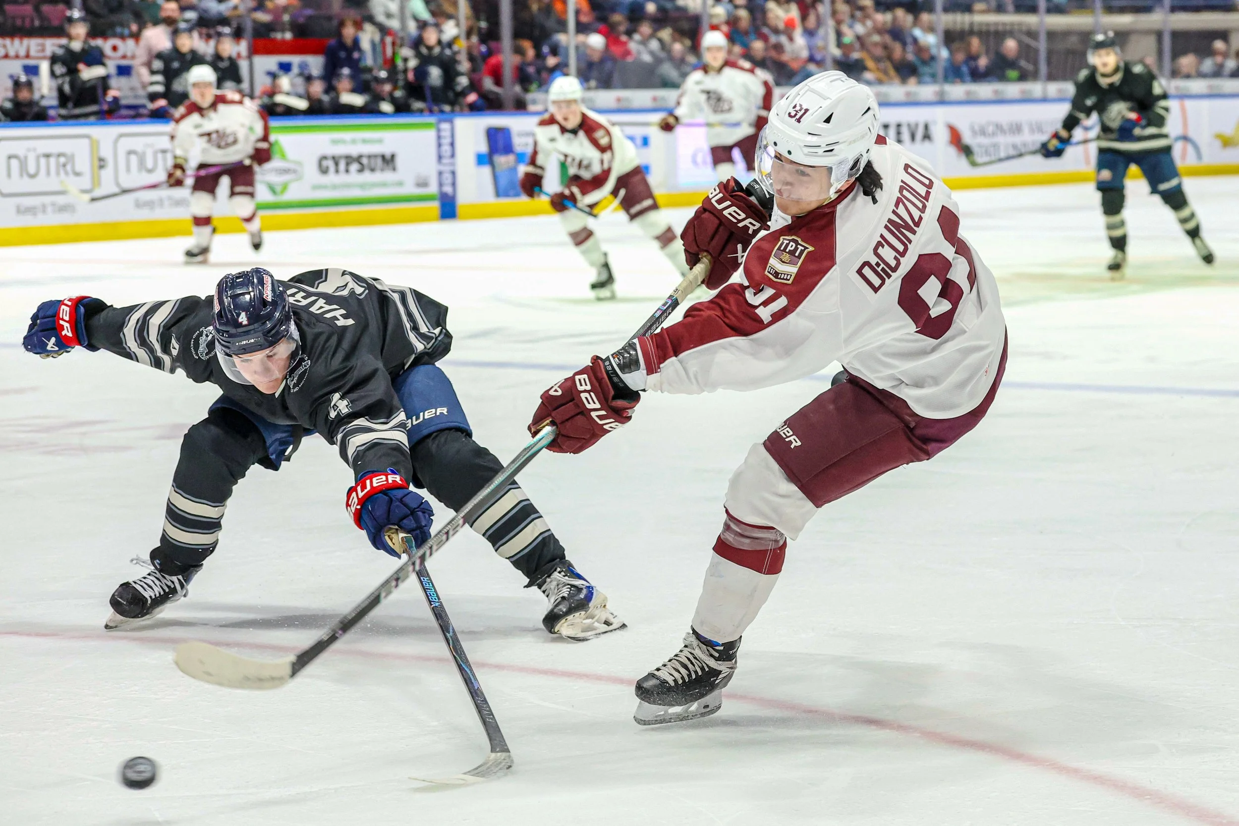 Peterborough Petes Split Games On Weekend Michigan Road Trip