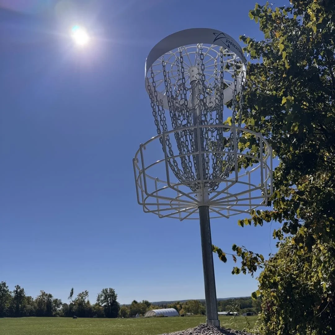 Disc Golf Tournament at Escape Maze Raises Funds For Youth Program and Local Food Bank