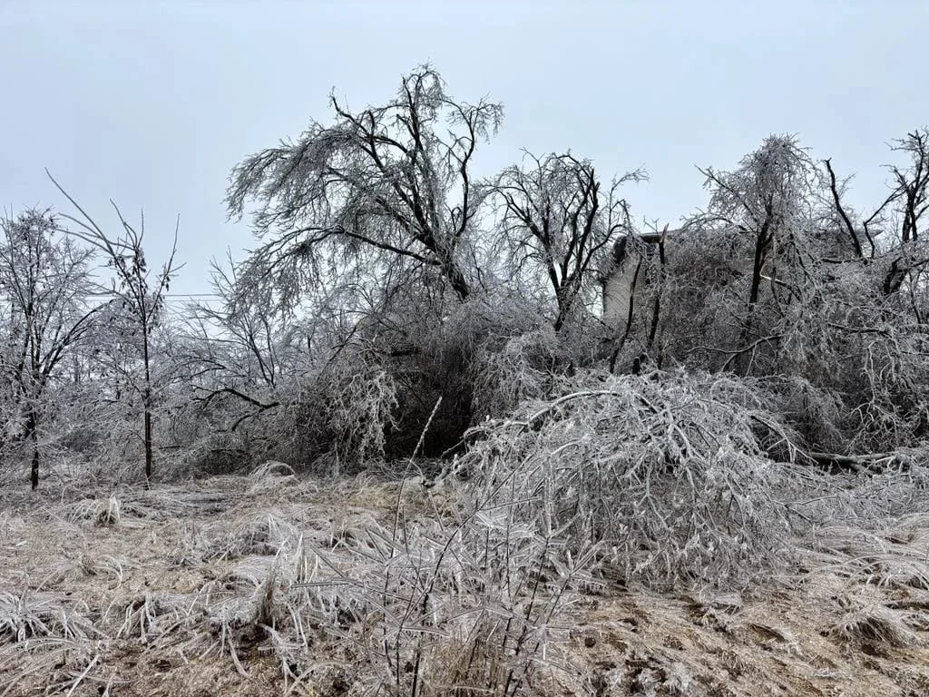 Ontario Government Providing Over $9.9 Million For Ice Storm Recovery in Peterborough-Kawartha