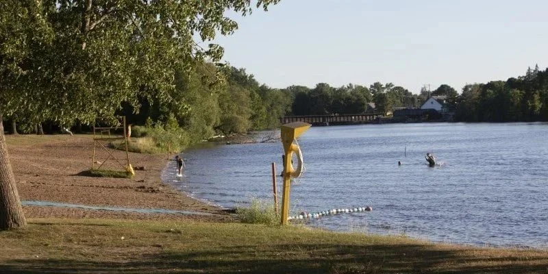 Beavermead Park Tree Planting and Soil Restoration To Take Place This Spring